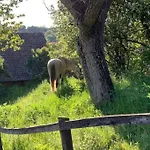 Σπίτι διακοπών Feked Farmstay *
