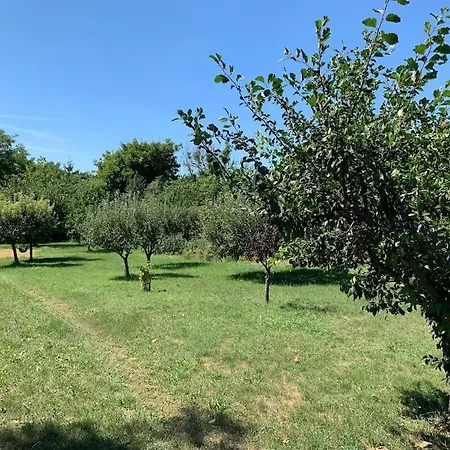 Feked Farmstay *
