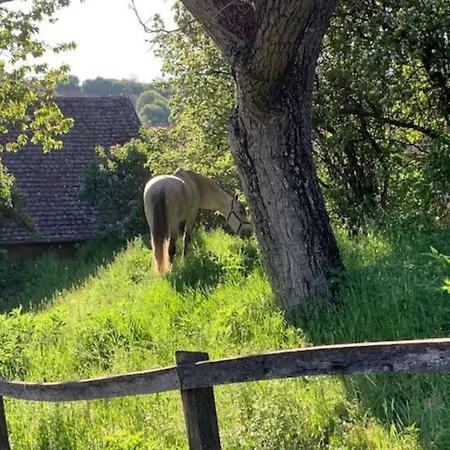 Hébergement de vacances Feked Farmstay *