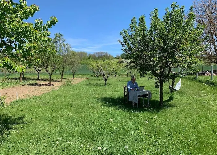 Σπίτι διακοπών Feked Farmstay Feked