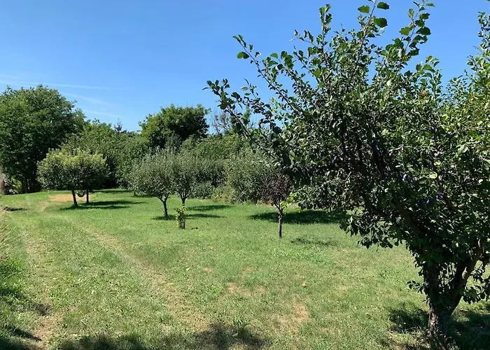 Feked Farmstay *